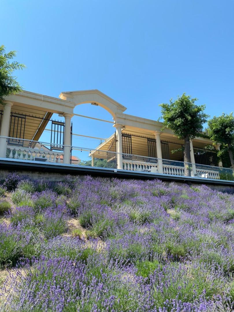 La Gioconda Boutique Hotel Odesa Exterior foto